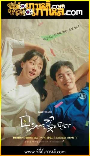 Like Flowers in Sand (2024)