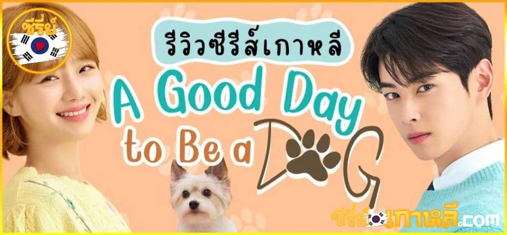A good day to be a dog