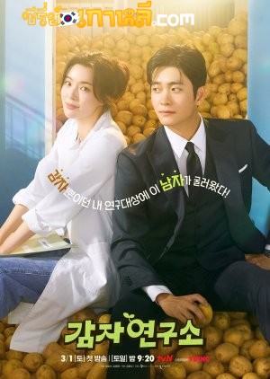 The Potato Lab (2025) ปลูกรักนักวิจัย ตอนที่ 1-12 จบ ซับไทย
