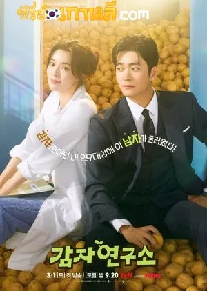 The Potato Lab (2025) ปลูกรักนักวิจัย ตอนที่ 1-12 จบ ซับไทย